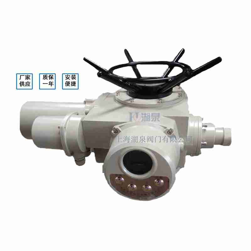 閥門電動裝置（dzw05,10,20，30,45,60，90,12