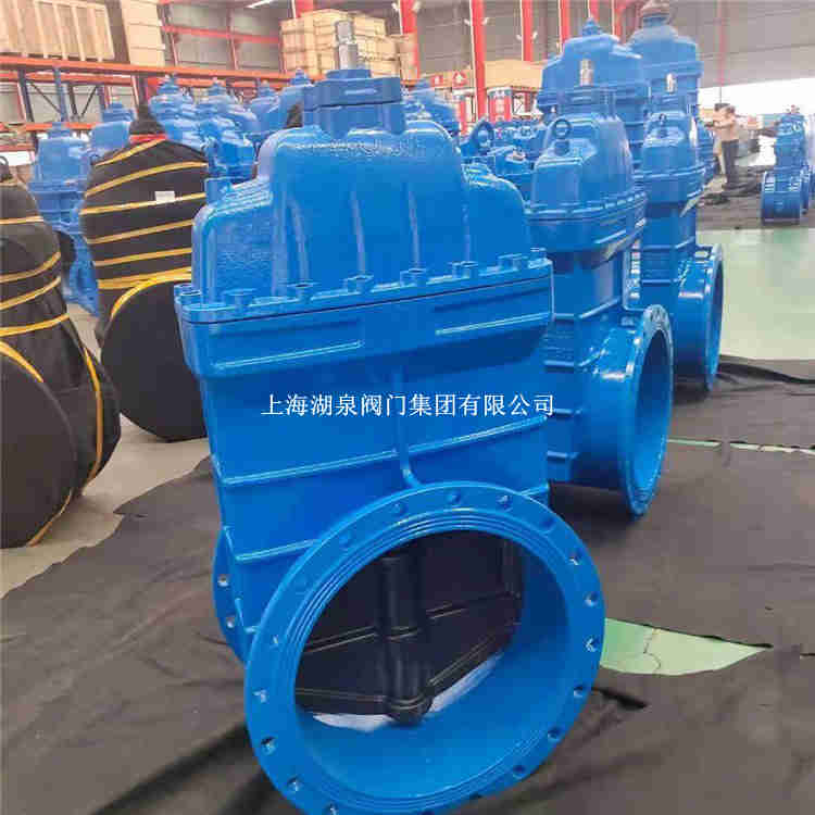  電動(dòng)大口徑閘閥dn600生產(chǎn)廠家