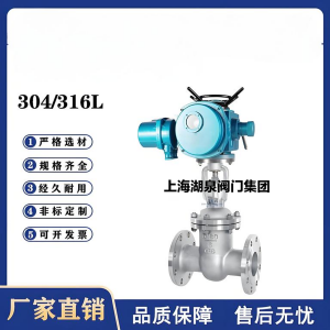 Z941W-16P，DN250，CF8/F304不銹鋼電動(dòng)閘閥